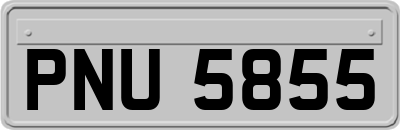 PNU5855