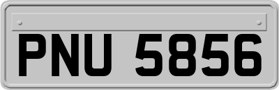 PNU5856
