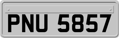PNU5857