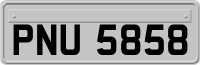 PNU5858