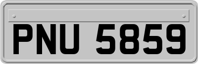 PNU5859