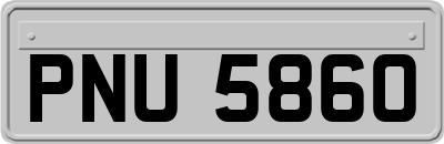 PNU5860