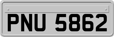 PNU5862
