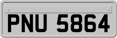 PNU5864