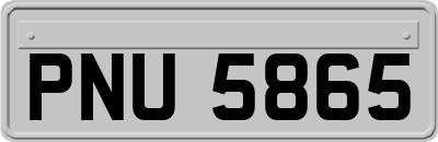 PNU5865