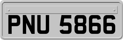 PNU5866