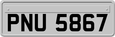 PNU5867