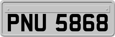 PNU5868