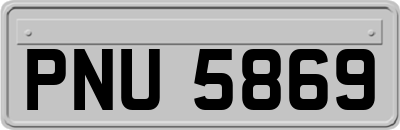 PNU5869