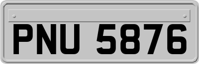 PNU5876