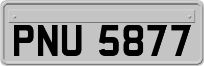 PNU5877