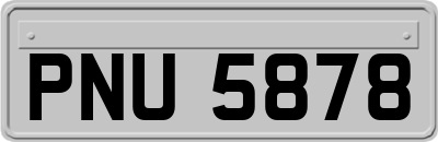 PNU5878
