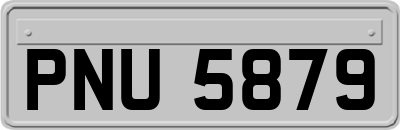 PNU5879