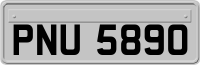 PNU5890