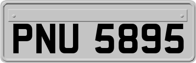 PNU5895