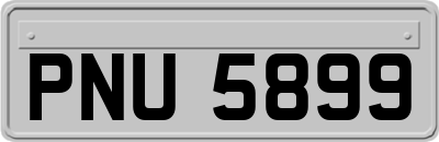 PNU5899