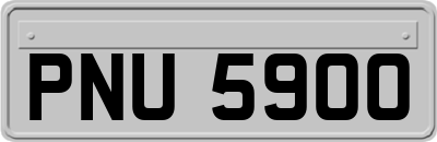 PNU5900