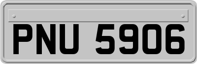 PNU5906