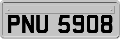 PNU5908