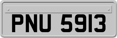 PNU5913