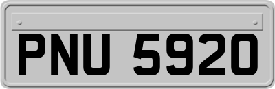 PNU5920
