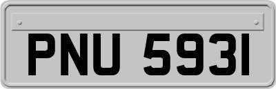PNU5931