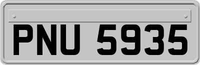 PNU5935