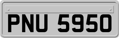 PNU5950