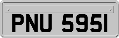 PNU5951