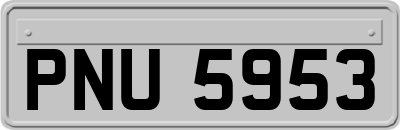 PNU5953