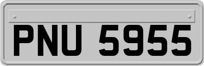 PNU5955