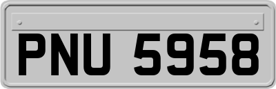 PNU5958
