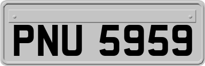 PNU5959