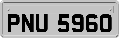 PNU5960