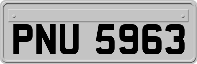 PNU5963