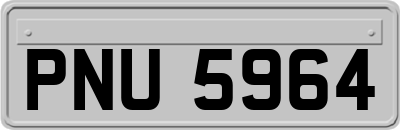 PNU5964