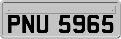 PNU5965