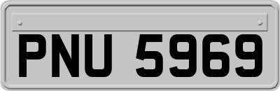 PNU5969