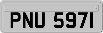 PNU5971