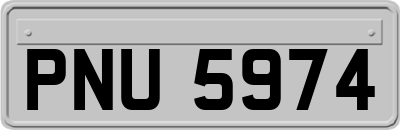 PNU5974