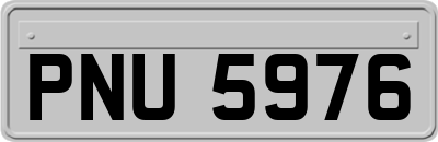 PNU5976