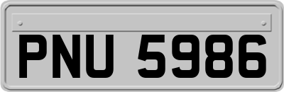 PNU5986