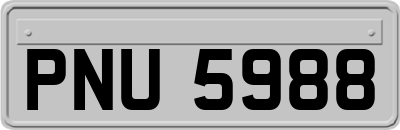 PNU5988
