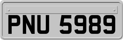 PNU5989