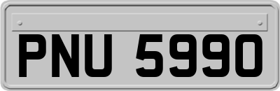 PNU5990