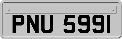 PNU5991