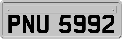 PNU5992