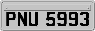 PNU5993