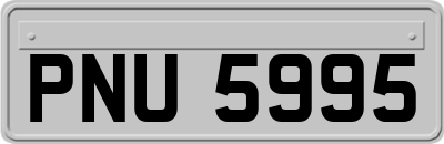PNU5995