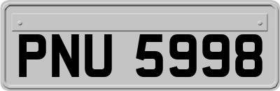PNU5998